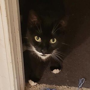 Meet your Posher, Carrie